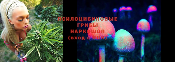 ALPHA PVP Алзамай