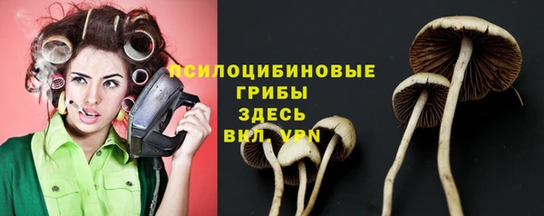 дурь Алексеевка
