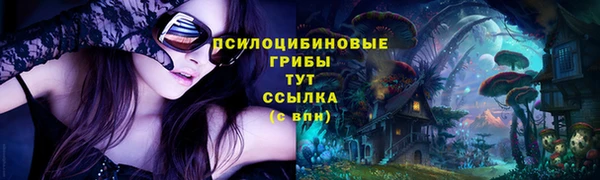 сатива Алексин
