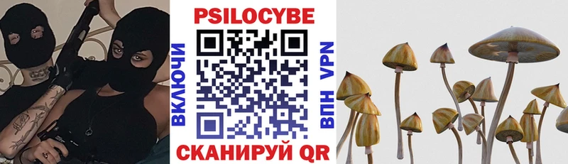 Галлюциногенные грибы Psilocybe  Дюртюли 
